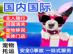 酒泉空运国际宠物托运 【国